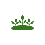 Edible Garden